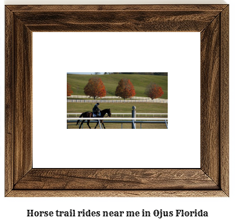 horse trail rides near me in Ojus, Florida